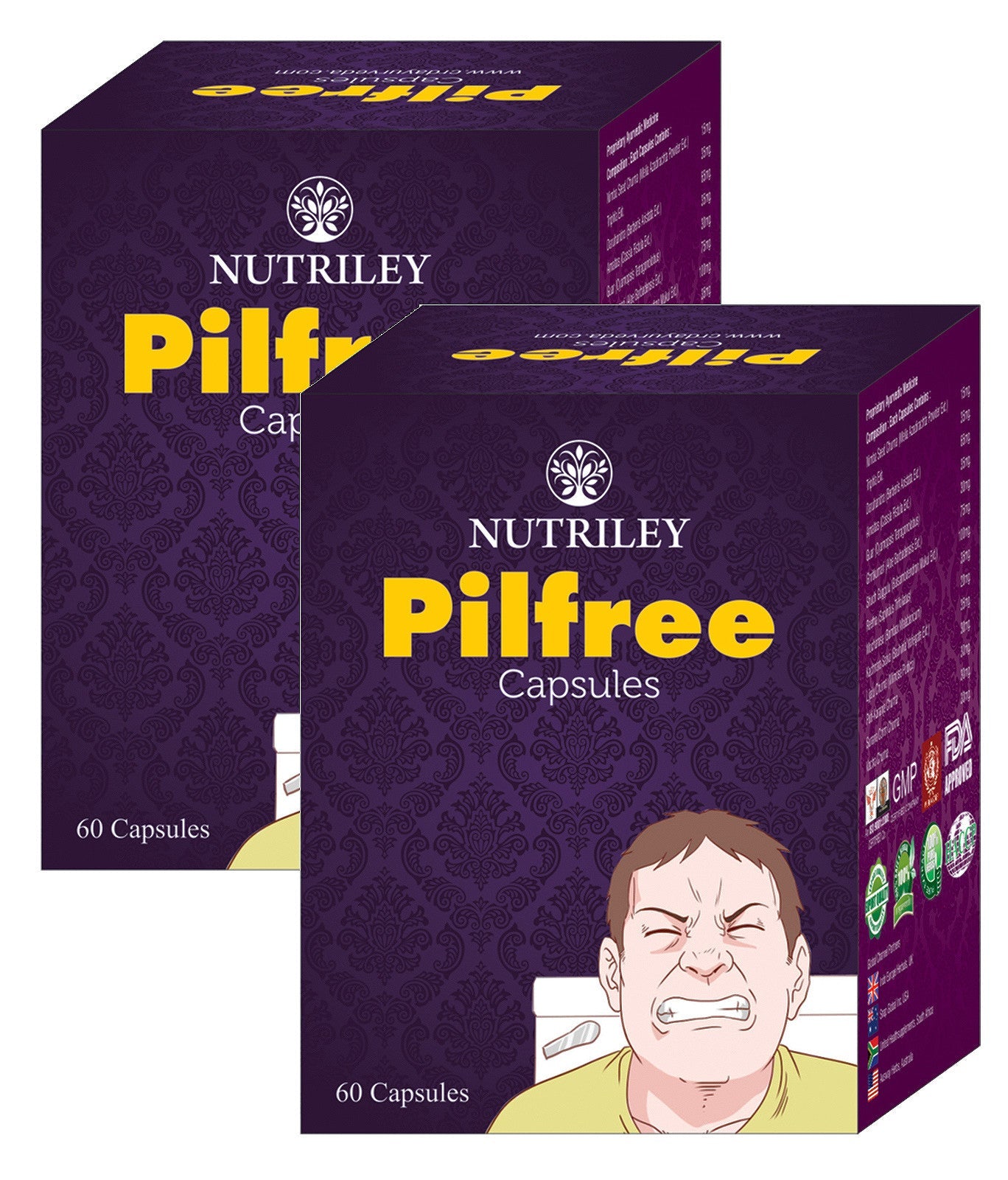 CRD Ayurveda Pilfree - Piles Care Capsules (60 Capsules) - Pack of 2